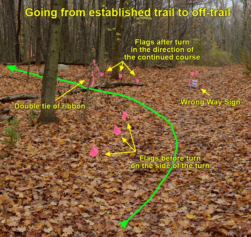 EstablishedTrailToOffTrail